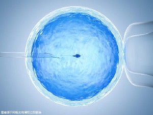 槿棠生殖中心环境