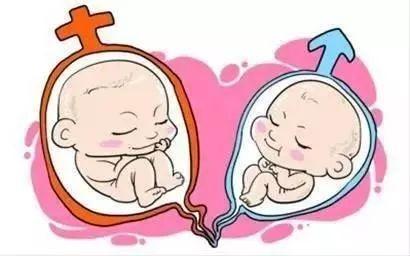 代生儿子包性别生殖中心